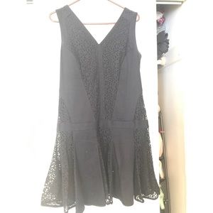 Lace/Navy Loft cocktail dress